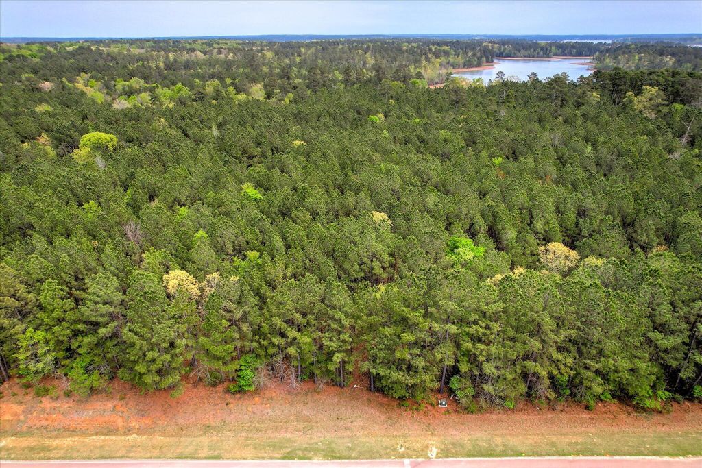 Photo of 1066 Clinton-Williams Road, Lincolnton, GA 30817 (MLS # 554010)