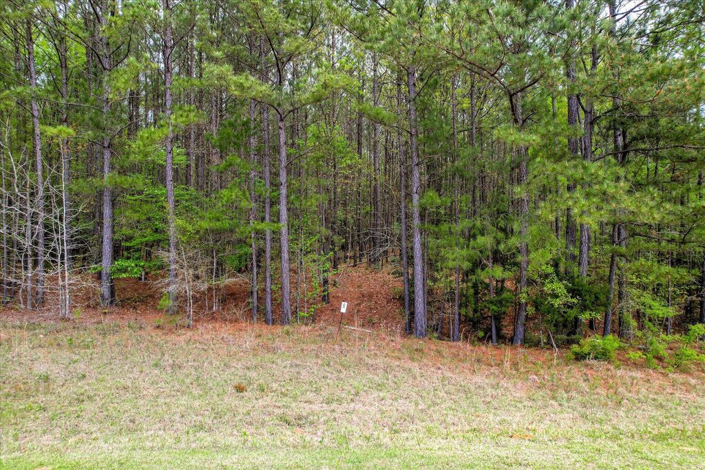Photo of 1066 Clinton-Williams Road, Lincolnton, GA 30817 (MLS # 554010)