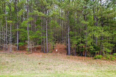 1066 Clinton-Williams Road Lot 11 Lincolnton GA 30817