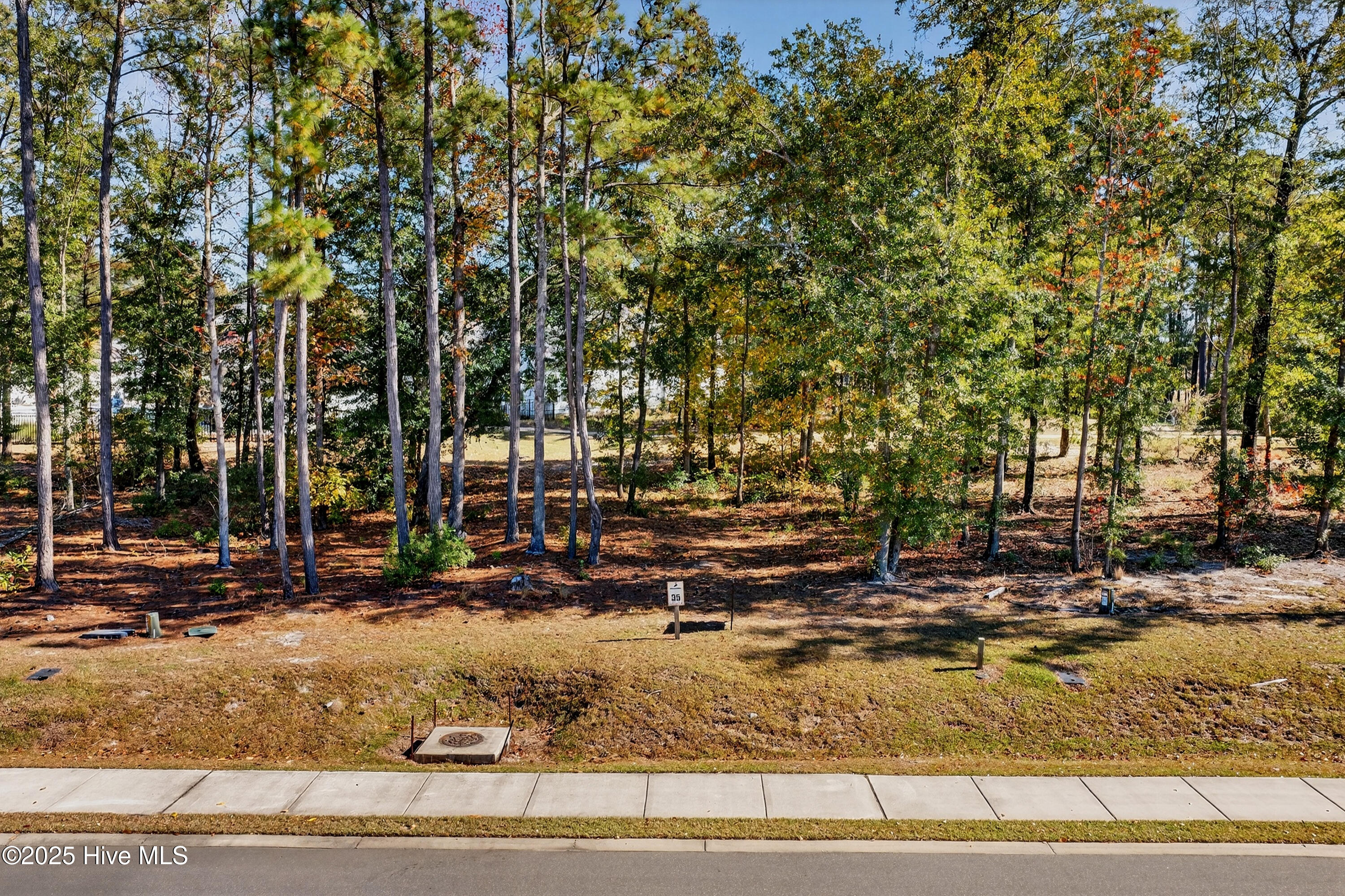 Wilmington, North Carolina 28401, United States, ,Land,Active,255818