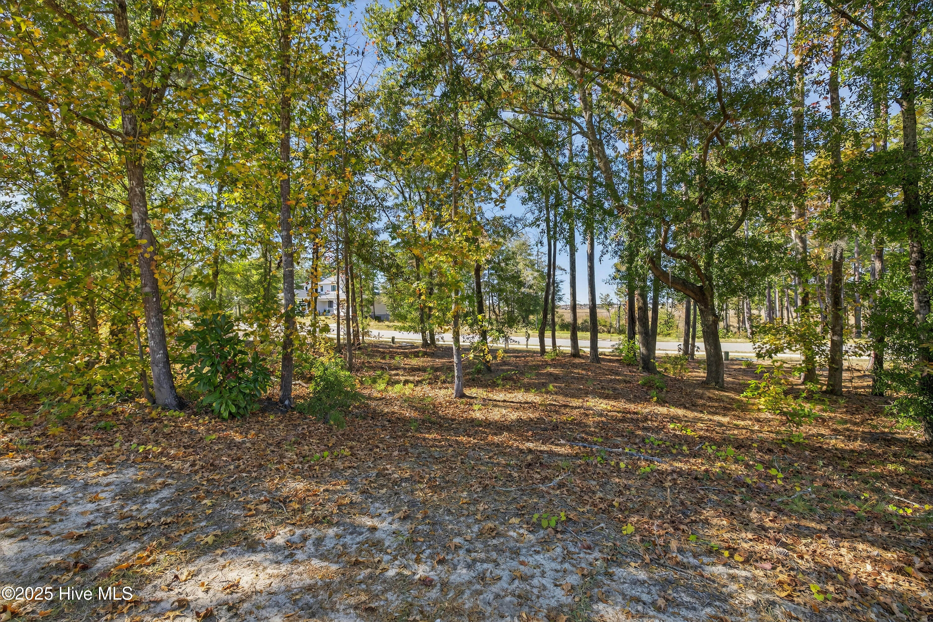 Wilmington, North Carolina 28401, United States, ,Land,Active,255818