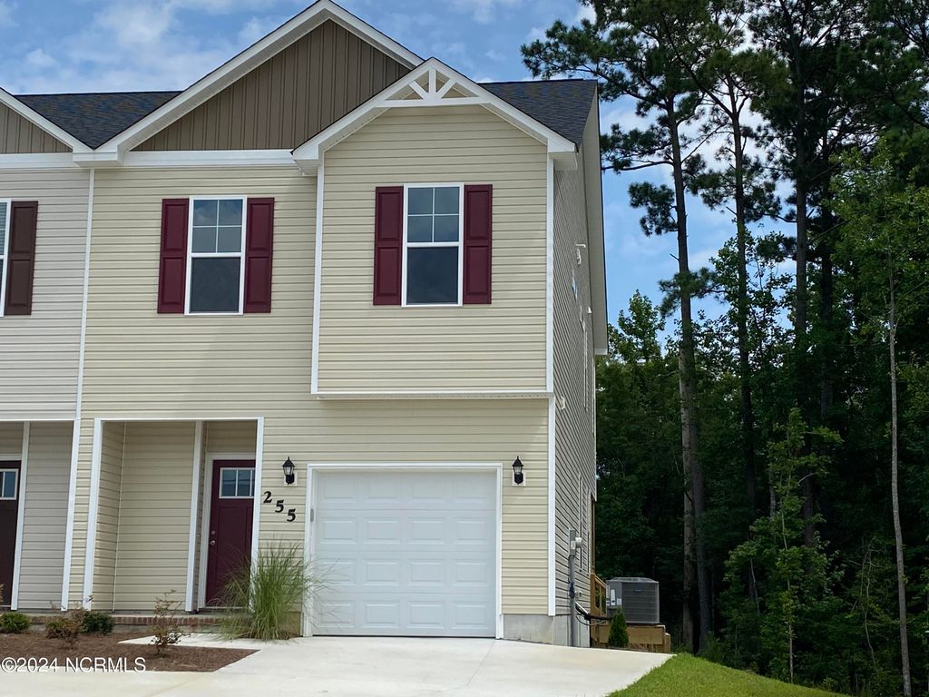 Photo of 255 Shallowbag Bay Lane, Jacksonville, NC 28546 (MLS # 100546750)