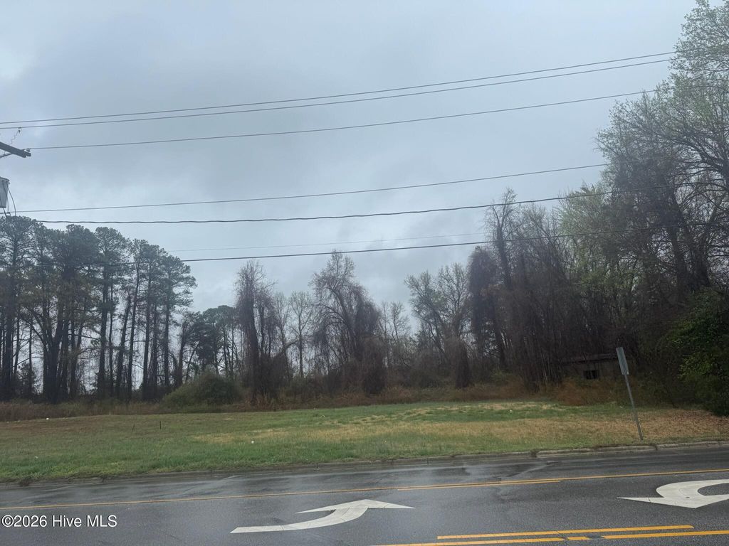 Photo of 1259 Independence Drive, Rocky Mount, NC 27804 (MLS # 100559940)