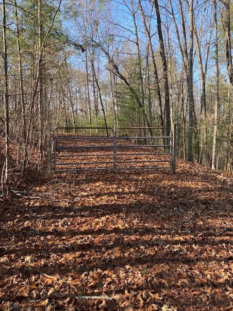 Vacant Land For Sale - Proghorn Lane<br/> Murphy, NC 28906