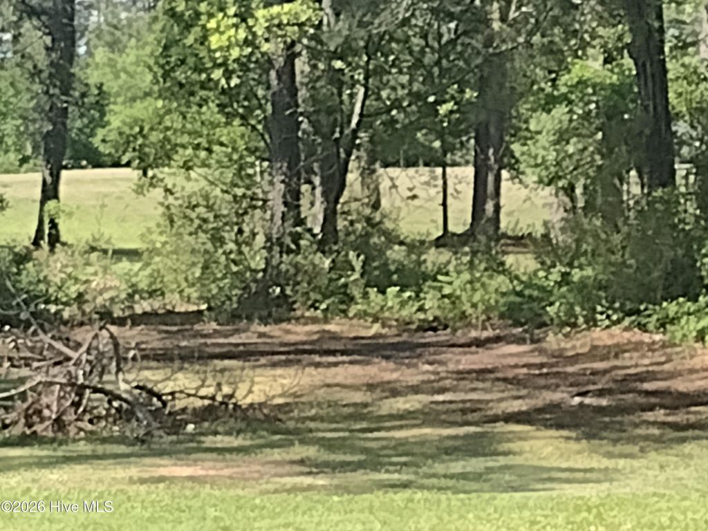 Photo of 1733 Caracara Drive, New Bern, NC 28560 (MLS # 100564571)