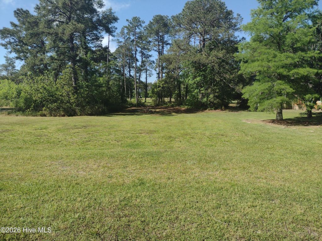Photo of 1733 Caracara Drive, New Bern, NC 28560 (MLS # 100564571)