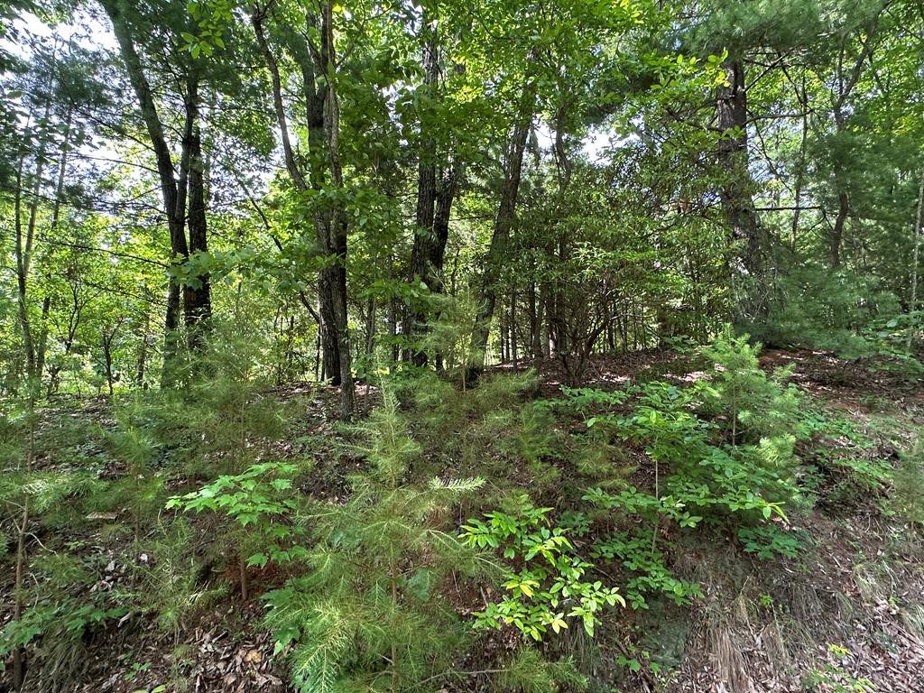 Photo of 31 Peak Trail, Murphy, NC 28906 (MLS # 100595620)
