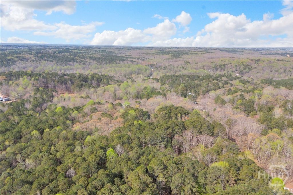 Photo of 0 Brown Bridge Road, Auburn, GA 30011 (MLS # CL352178)