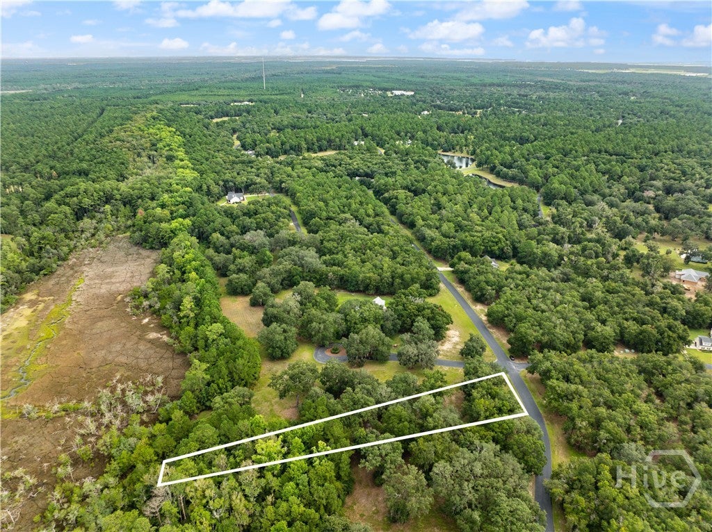 Photo of 241 Coopers Landing Drive, Townsend, GA 31331 (MLS # SA363883)