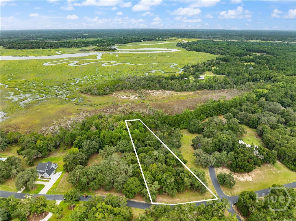 Photo of 241 Coopers Landing Drive, Townsend, GA 31331 (MLS # SA363883)