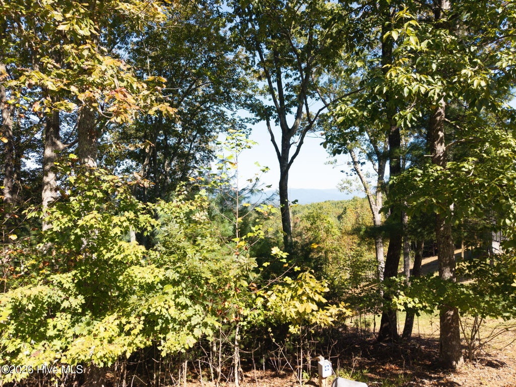 Photo of 310 Skyland Trail, Murphy, NC 28906 (MLS # 100610056)