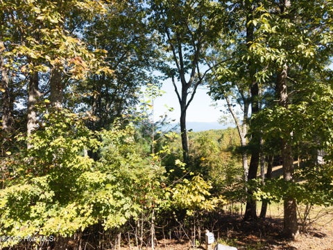 Photo for 310 Skyland Trail