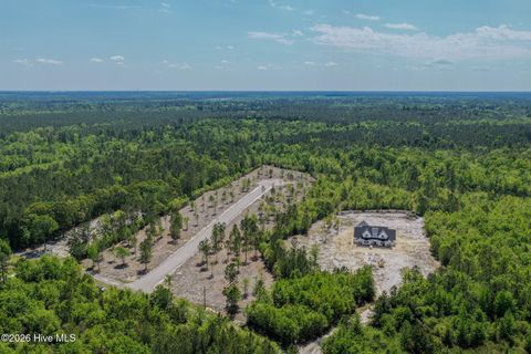 Tiny photo for 234 Essie Mae Lane, Northwest, NC 28451 (MLS # 100573599)