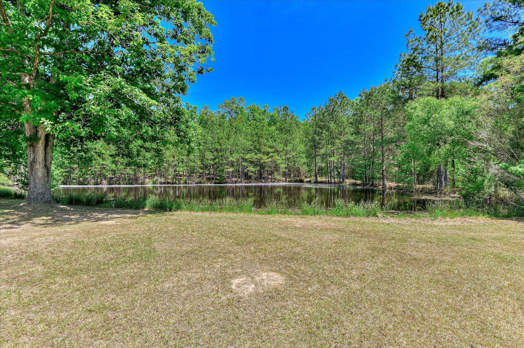 1154 Water Oak Drive