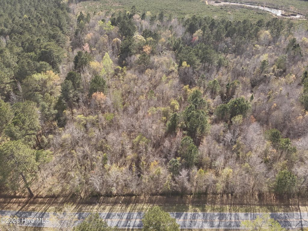 Photo of 0 Skeeter Pond Road, Grifton, NC 28530 (MLS # 100563257)