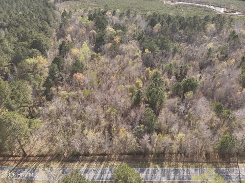 Vacant Land For Sale - Skeeter Pond Road<br/> Lenoir County, Grifton, NC 28530