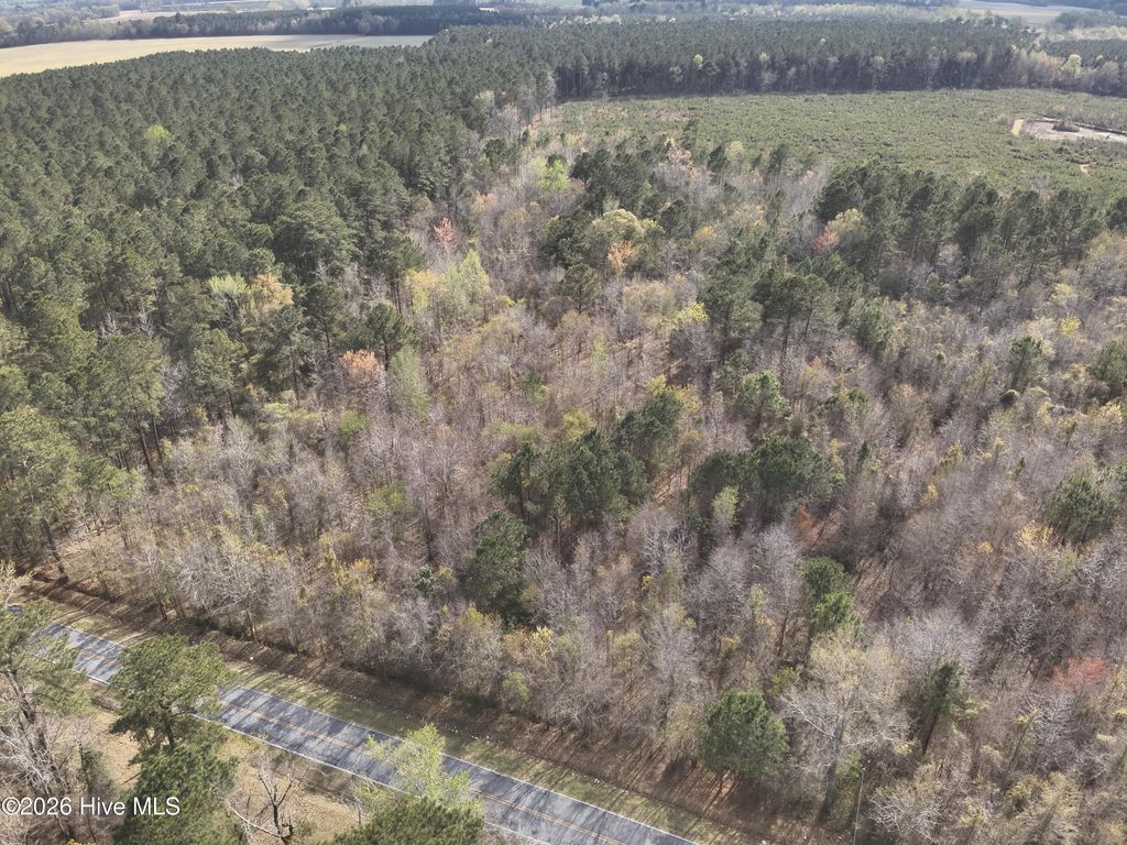 Photo of 0 Skeeter Pond Road, Grifton, NC 28530 (MLS # 100563257)