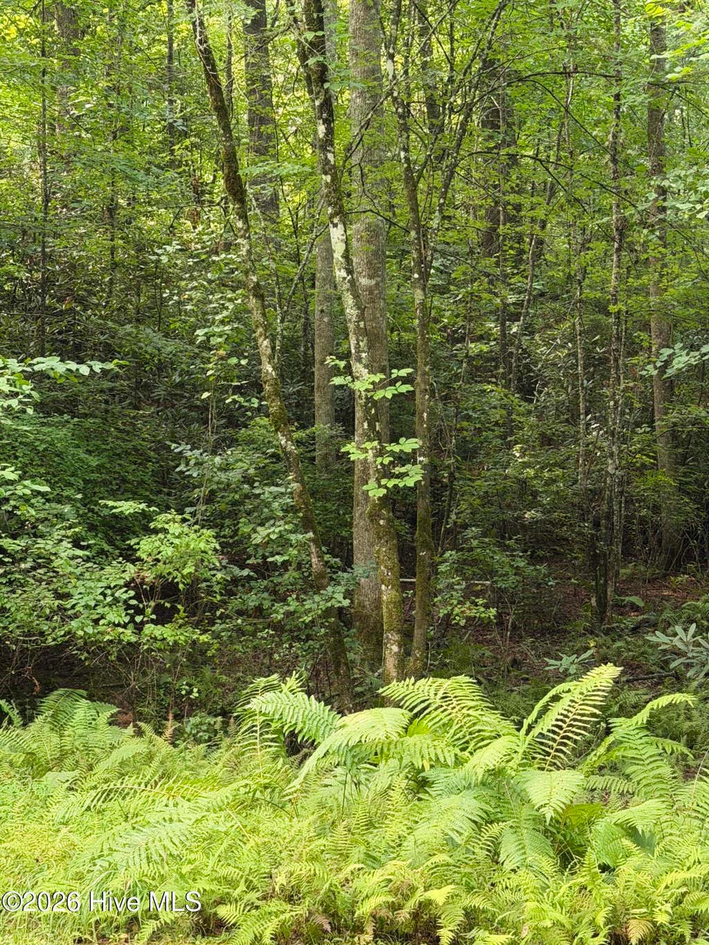 Photo of 0 Rockridge Road, Murphy, NC 28906 (MLS # 100592550)