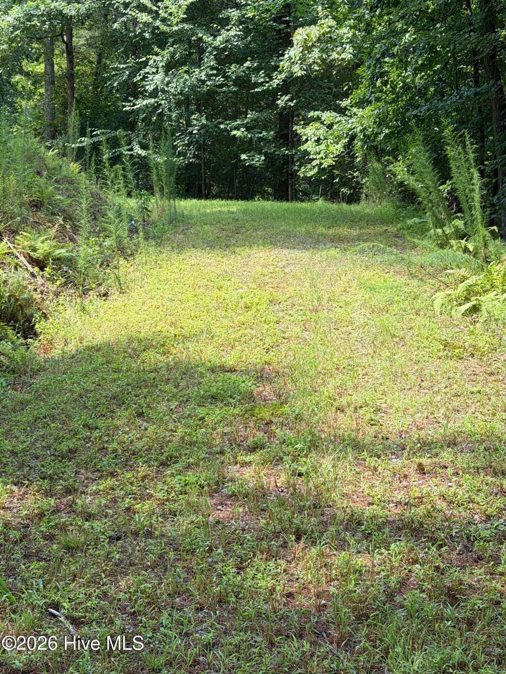 Photo of 0 Rockridge Road, Murphy, NC 28906 (MLS # 100592550)