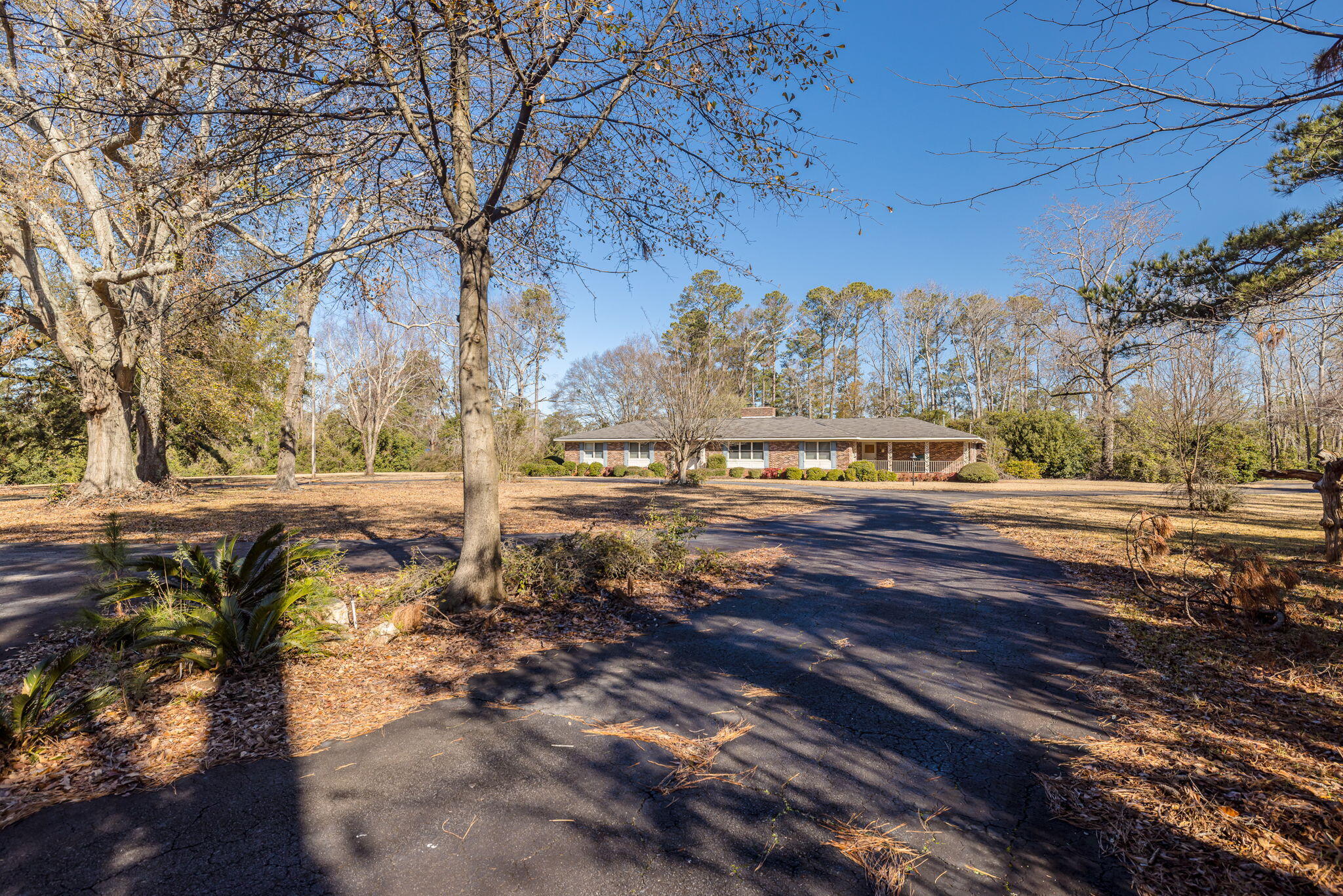 3103 CLAY HILL Drive