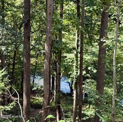 25 JASMINE DR, MARBLE, NC 28905 - Image 6b2dbf87bb496cd280d9300b67c81cc8/418166963