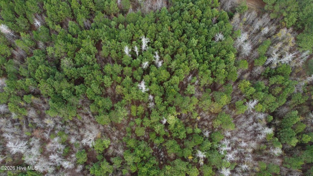 Photo of 19115 Andrew Jackson Highway E, Bolton, NC 28423 (MLS # 100561822)