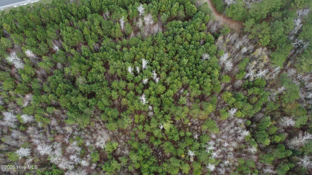 Photo of 19115 Andrew Jackson Highway E, Bolton, NC 28423 (MLS # 100561822)