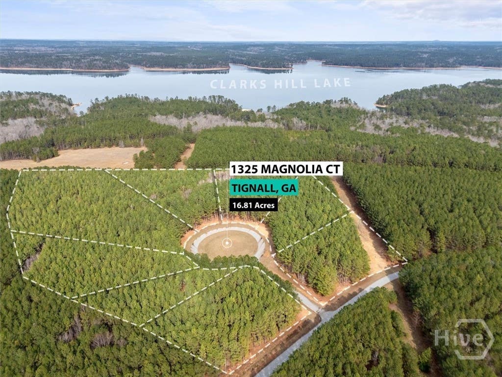 Photo of 0 Magnolia Court, Tignall, GA 30668 (MLS # CL361727)