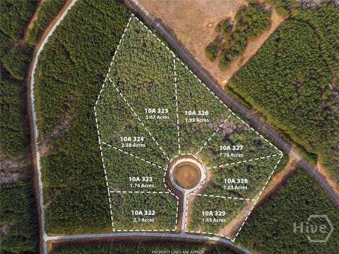 Vacant Land For Sale - Magnolia Court<br/> Tignall, GA 30668