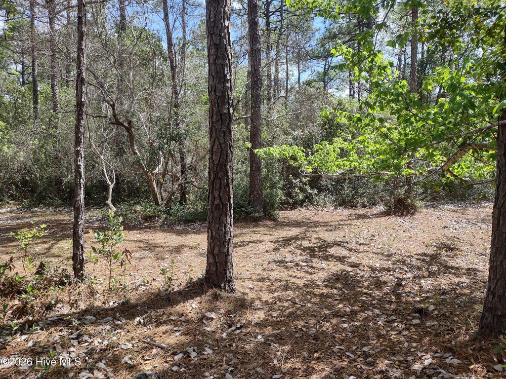 Photo of 6864 Beckman Circle SW, Ocean Isle Beach, NC 28469 (MLS # 100565763)