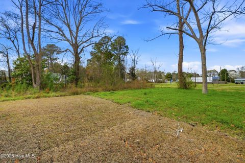 Tiny photo for 706 W Hayes Street, Burgaw, NC 28425 (MLS # 100559529)