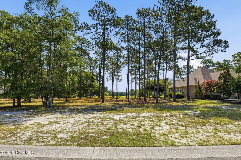 Photo of 349 Laurel Valley Drive, Shallotte, NC 28470 (MLS # 100583718)