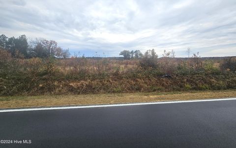 Vacant Land For Sale - TBD Lasker Golf Course Road<br/> Northampton County, Woodland, NC 27897