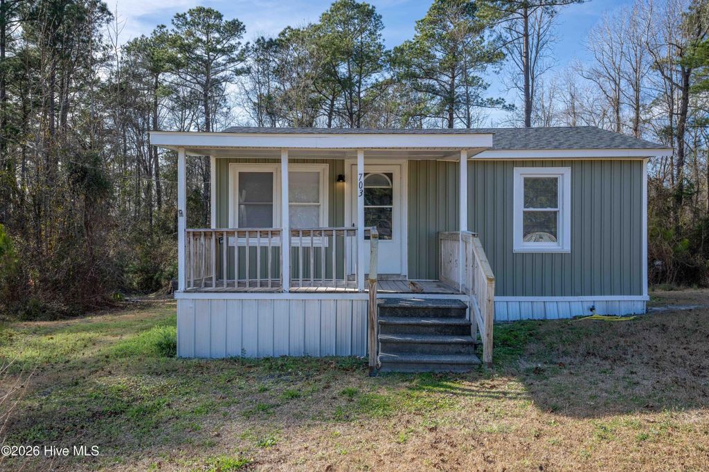 Photo of 703 Riggs Road, Hubert, NC 28539 (MLS # 100549592)