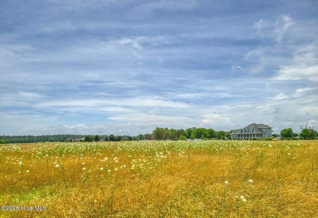 Photo of 100 Haley Point, Elizabeth City, NC 27909 (MLS # 100591082)