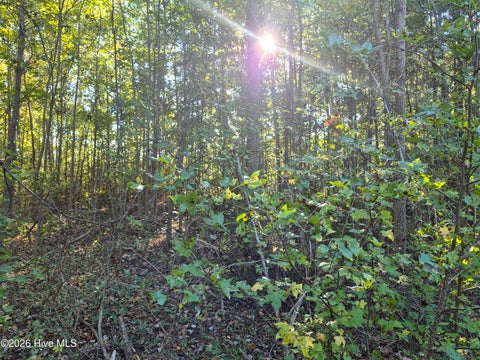 Tiny photo for 000 Ashton Road, Burgaw, NC 28425 (MLS # 100612686)