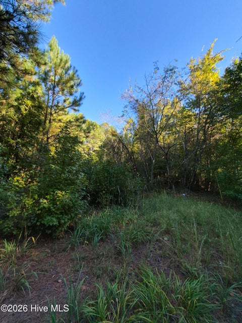 Tiny photo for 000 Ashton Road, Burgaw, NC 28425 (MLS # 100612686)