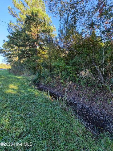 Tiny photo for 000 Ashton Road, Burgaw, NC 28425 (MLS # 100612686)
