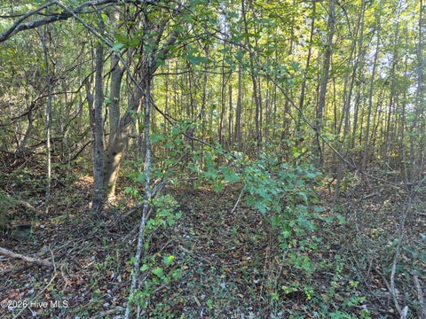 Tiny photo for 000 Ashton Road, Burgaw, NC 28425 (MLS # 100612686)