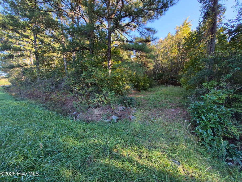 Photo of 000 Ashton Road, Burgaw, NC 28425 (MLS # 100612686)