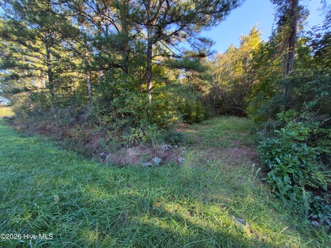 Tiny photo for 000 Ashton Road, Burgaw, NC 28425 (MLS # 100612686)