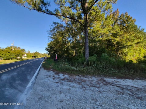 Tiny photo for 000 Ashton Road, Burgaw, NC 28425 (MLS # 100612686)