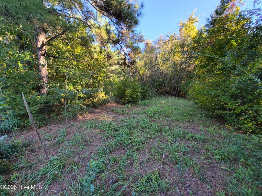 Photo of 000 Ashton Road, Burgaw, NC 28425 (MLS # 100612686)