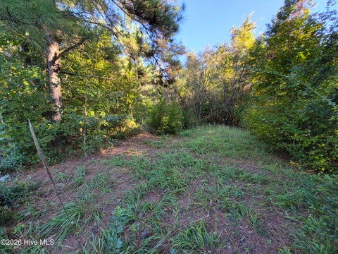Photo of 000 Ashton Road, Burgaw, NC 28425 (MLS # 100612686)