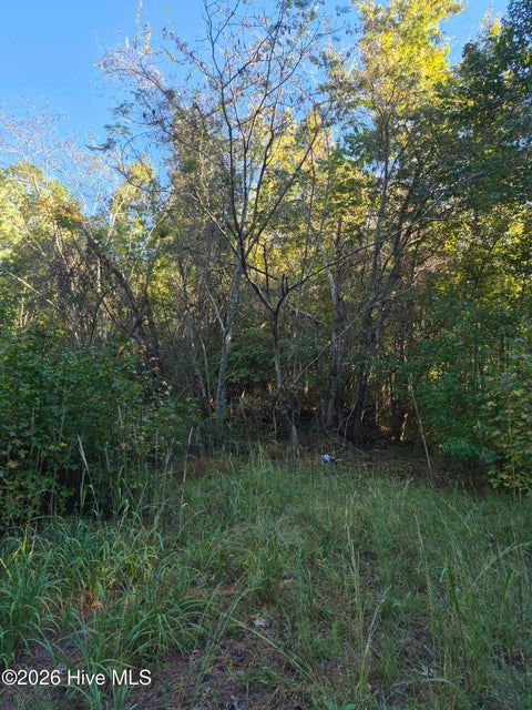 Tiny photo for 000 Ashton Road, Burgaw, NC 28425 (MLS # 100612686)