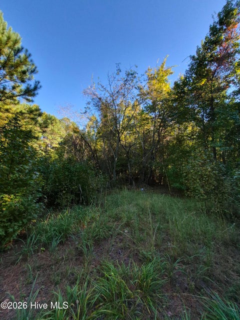 Tiny photo for 000 Ashton Road, Burgaw, NC 28425 (MLS # 100612686)