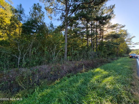 Tiny photo for 000 Ashton Road, Burgaw, NC 28425 (MLS # 100612686)