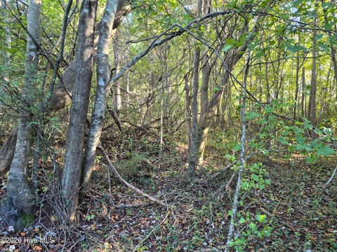 Tiny photo for 000 Ashton Road, Burgaw, NC 28425 (MLS # 100612686)