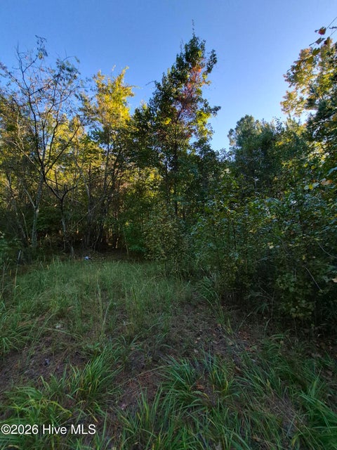Tiny photo for 000 Ashton Road, Burgaw, NC 28425 (MLS # 100612686)