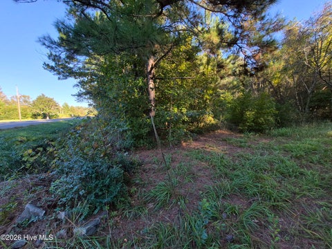 Tiny photo for 000 Ashton Road, Burgaw, NC 28425 (MLS # 100612686)